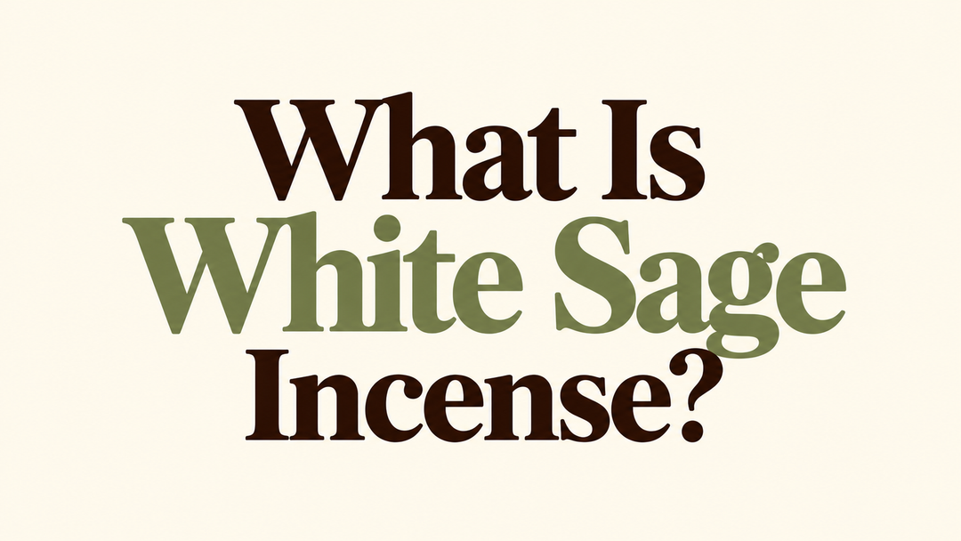 What Is White Sage Incense? Scent, Meaning, and Uses