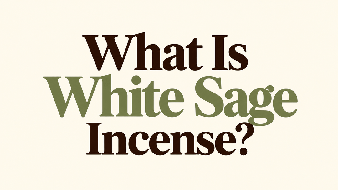 What Is White Sage Incense? Scent, Meaning, and Uses - Incense Gallery